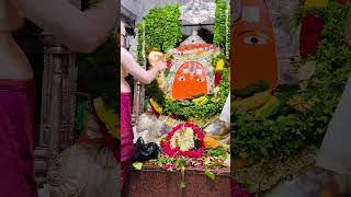 Karmanghat Hanuman temple 🙏 shortvideo trending viralvideo hanumanshorts godhanuman [upl. by Onitnas]