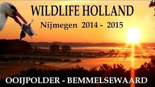 WILDLIFE HOLLAND 1  Ooijpolder amp Bemmelse Waard 2014  2015  JEROWORLD [upl. by Aisekal]