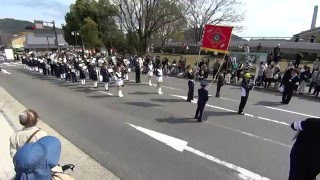 The Tasen School Band from OsloNorway 2016 Kyoto SAKURA Parade [upl. by Chassin]