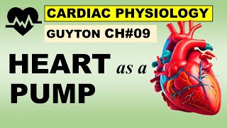 المحاضرة 3 شرح خصائص عضلة القلب  Physiology  Lecture  3   CVS  3   Cardiac properties [upl. by Nongim]