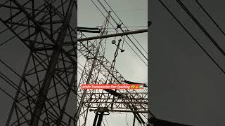 😨😱400kv Transmission line Sparking viralshorts shorts viralshort transmission [upl. by Dranreb716]