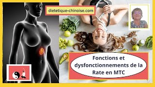 Fonctions et dysfonctionnements de la Rate [upl. by Mcgill704]