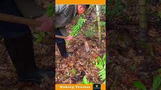 The Process Of Digging Soil With A Hand Tool [upl. by Zusman]