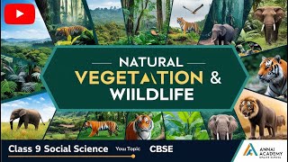 Explore Nature’s Wonders Natural Vegetation amp Wildlife  Class 9 CBSE [upl. by Llehcim]