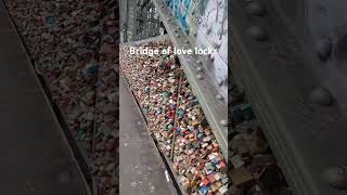 The longest bridge of love locks attraction lovelocks bridge asmr asmrsounds viralvideo [upl. by Choo]