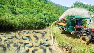 Use High Capacity Pump To Drain Fish Pond  Harvest And Use Truck Transport Many Fish Go To Sell [upl. by Shelah]