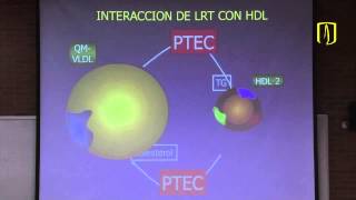 Metabolismo de lípidos  Bioquímica médica [upl. by Cam]