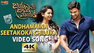 Andhamaina Seetakoka Chiluka Full Video Song  Bellamkonda Sreenivas  Rakul Preet  DSP [upl. by Conroy408]