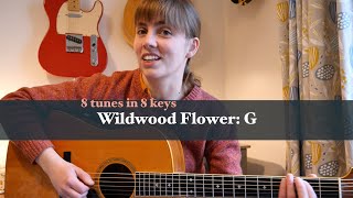 8 Tunes in 8 Keys Wildwood Flower  G [upl. by Icart787]