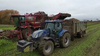 Holmer T430 amp Vervaet Q616 Harvesting Sugarbeet In Lincolnshire [upl. by Nahsin]