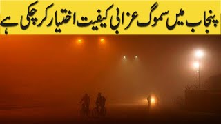 smog impact on environment in punjab [upl. by Ollehto]