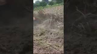 Sonalika🚜 pachat kuati [upl. by Ahnavas]