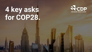 COP28 needs to achieve these 4 things [upl. by Salomon]