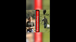 Farmers Only Iconic Commercials [upl. by Grearson706]