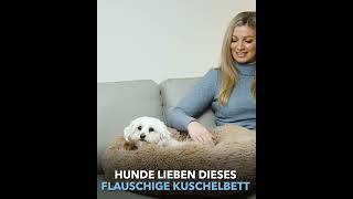 Flauschig weiches Hundebett Wolke 7  das Original [upl. by Ydnarb45]