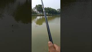 Wow hook fishing shorts fishing video [upl. by Yregram]