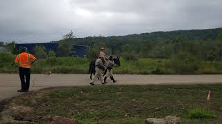 Battle of Pilot Knob Civil War reenactment 2024 [upl. by Sachsse]