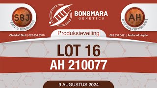 Lot 16  AH 210077 [upl. by Alicsirp162]