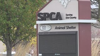 SPCA Serving Erie County defends itself following online criticism [upl. by Lennahs]