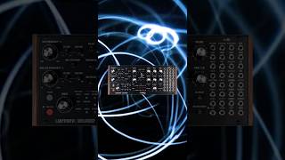 Moog Labyrinth Leak [upl. by Fanya]