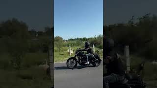 motorcycle harleys harleydavidsonmotorcycles harleydavidson biker harleylife moteros [upl. by Latimer]