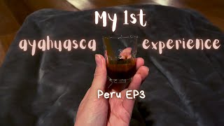 Post Pandemic Travel EP3  My 1st Ayahuasca Experience  Etnikas Ayahuasca Retreat Peru [upl. by Hanikehs]