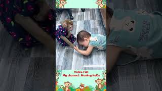 Monkey Hair Red rescues baby Diem trapped under the bed [upl. by Alisa]