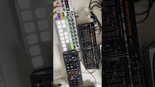 Messing with Behringer Syncussion SY1 synth synthesizer electronicmusic beatmaking [upl. by Abner88]