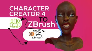 CC4 Zbrush HOW TO INSTALL GoZ CHARACTER CREATOR  Zbrush to Character Creator 4 Tutorial [upl. by Halvaard]