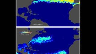 Diverse phytoplankton in Gulf Stream [upl. by Ahcila]