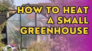 This is how I heat my small greenhouse on a budget [upl. by Latrice826]