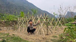 Poor boy  Making bamboo trellis for cucumber garden  Living with ducks [upl. by Edalb]