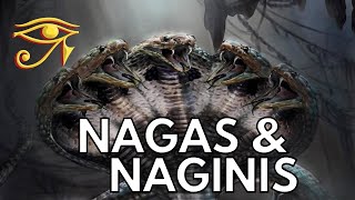 The Nagas amp Naginis  Serpentine Beings of Indian Legend [upl. by Nosila]