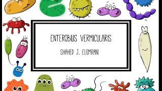 Enterobius Vermicularis [upl. by Aicile943]