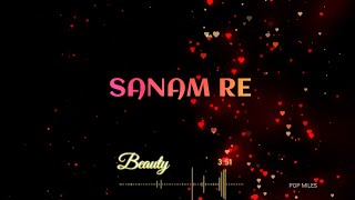 SANAM RE Title Song FULL Lyrics  Pulkit Samrat Yami Gautam Urvashi Rautela  ARIJIT SINGH [upl. by Percival]