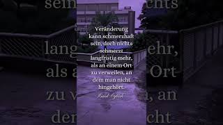 zitate sprüche lebenszitate gedanken motivationszitate motivationsspruch sad [upl. by Sanbo]