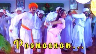 Poomaanam  Nakshathrakannulla Raajakumaaran Avanundoru Raajakumaari Movie Song [upl. by Vijnas931]