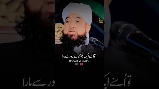 Sheikh Saadi Ki Hikayat  Raza Saqib Mustafai  shorts [upl. by Rochette439]