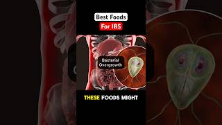 🍚 Best Foods To Eat For IBS Symptoms health shorts youtubeshorts [upl. by Tarttan]