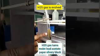 Preparation and chemical test of Hydrogen sulphide H2S gas Practical chemistry [upl. by Nnahsal562]