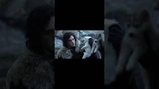 Finding The Dire wolves shorts gameofthrones [upl. by Eiffub]