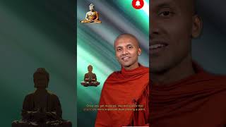 Buddhas motivational🙏speech on power of silence 🙃shortsdougs secular dharmaEssentialism2 [upl. by Alios]