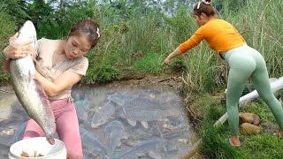 Full Video Daily Life Fishing How To Fishing in The Wild Harvesting Many Big Fish  Fishing Girl [upl. by Frear988]