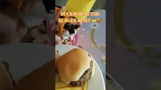 Buckwheats Birthday Special funny memes beanieboos cheeseburger fries whopper [upl. by Norris]