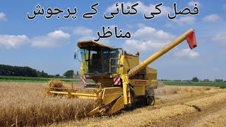 فصل کی کٹائی کے پرجوش مناظر [upl. by Eissak]