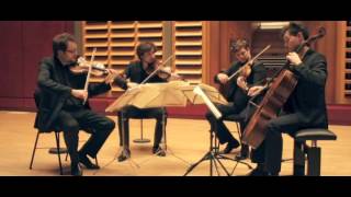 Haydn String Quartet op76 No 2 quotQuintenquot Schnitzler Quartett [upl. by Enerol245]