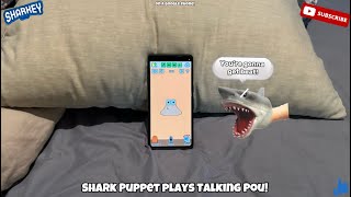 Shark Puppet plays Talking Pou [upl. by Aernda378]