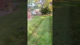 Fresh lines lawn greengrass backstreetboys lawncare lawnmaintenance lawncarenj [upl. by Rapp407]