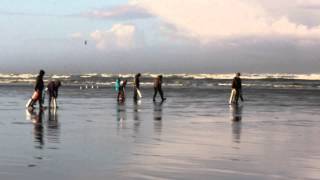 Razor Clamming at Pacific Beach State Park [upl. by Lander177]