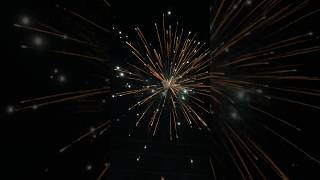 Thunder Willow 36Shot 1er Firework Cake🔥 pyromaniac fireworksdisplay losangeles laborday2024 [upl. by Ahsemrak]